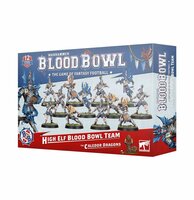 Warhammer Blood Bowl High Elf Blood Bowl Team: The Caledor Dragons