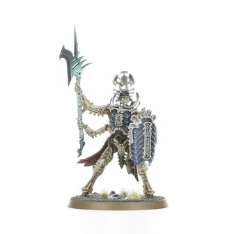 Warhammer Age of Sgmar Ossiarch Bonereapers: Regiment of Renown: Heralds of the Bone-tithe
