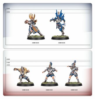 Warhammer Blood Bowl High Elf Blood Bowl Team: The Caledor Dragons