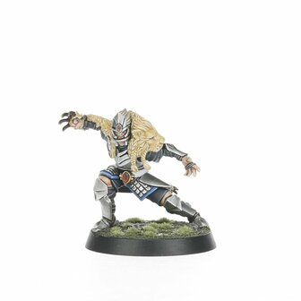 Warhammer Blood Bowl High Elf Blood Bowl Team: The Caledor Dragons