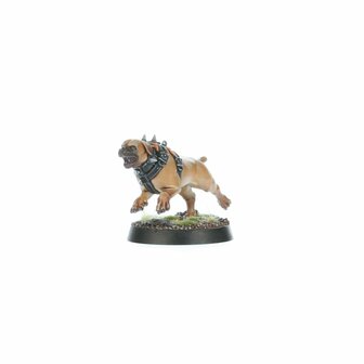 Warhammer Age of Sigmar Cities of Sigmar Regiment of Renown: Ven Denst's Hounds