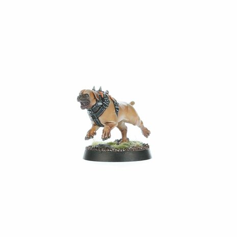 Warhammer Age of Sigmar Spearhead: Cities of Sigmar &ndash; Fusil-Platoon
