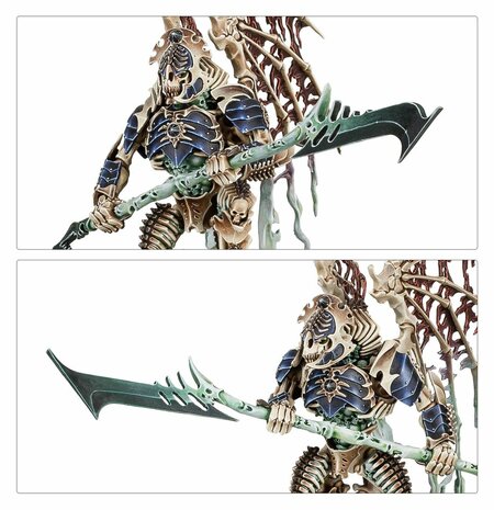 Warhammer Age of Sigmar Spearhead: Ossiarch Bonereapers &ndash; Mortisan Elite
