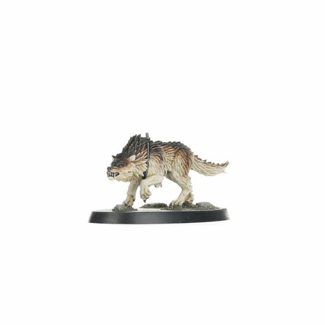 Warhammer 40,000 Kill Team: Wolf Scouts (7-2-2026)