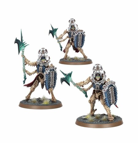 Warhammer Age of Sgmar Ossiarch Bonereapers: Regiment of Renown: Heralds of the Bone-tithe